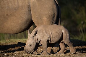 Botlierskop Private Game Reserve