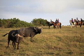 Botlierskop Private Game Reserve