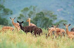 Botlierskop Private Game Reserve