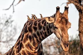 Rhino Post Safari Lodge
