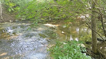 Holiday Inn Express & Suites Franklin - Berry Farms by IHG