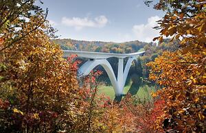 Holiday Inn Express & Suites Franklin - Berry Farms by IHG