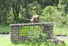 Momella Wildlife Lodge
