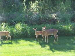Fish Creek House Bed & Breakfast