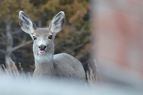 Fish Creek House Bed & Breakfast