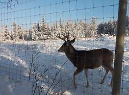 Fish Creek House Bed & Breakfast