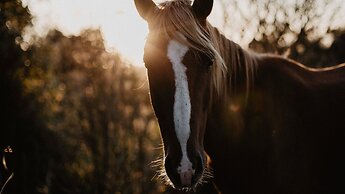 Fish Creek House Bed & Breakfast