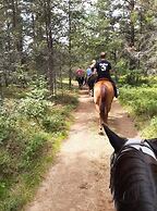 Fish Creek House Bed & Breakfast