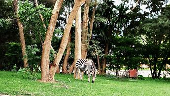 Dream Valley Park & Lodge