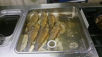 Hotel Gasthof Zur Krone