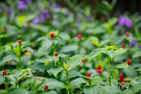 Parc Borough City Resort