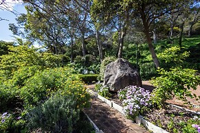 Middleton Beach by the BnB Collection