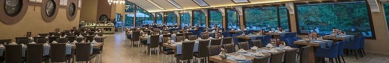 Ayder Hasimoglu Hotel