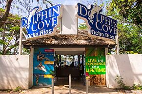 Columbus Heights Ocean View Large Studio