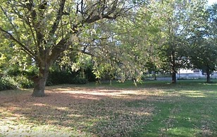 La Ysidora Hotel & Spa