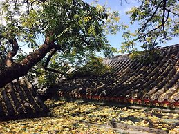 Fly By Knight Courtyard Hotel