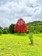 Nimbin Waterfall Retreat