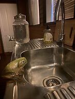 Nimbin Waterfall Retreat