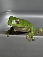 Nimbin Waterfall Retreat