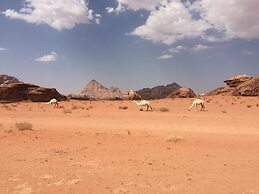 Wild Wadi Rum