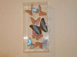 Perfect Moments B&B and Event Venue