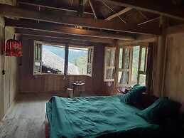 Homie Homestay - Hostel