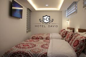 Hotel David