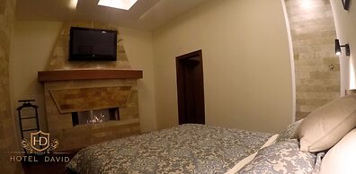 Hotel David