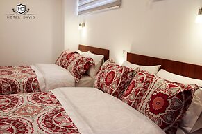 Hotel David