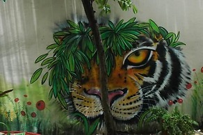 Casa MonaLisa PTY - Hostel