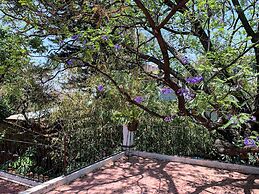 Agrado Guest House