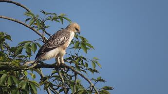 Hidden World Resort And Spa