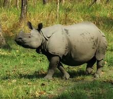 Hidden World Resort And Spa