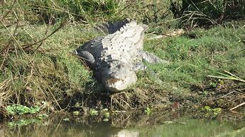 Hidden World Resort And Spa