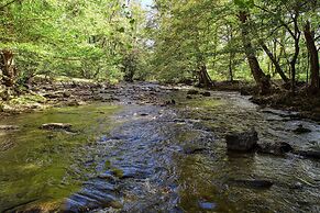 Wandering Creek - 2 Bedrooms, 1 Baths, Sleeps 6 Cabin by RedAwning