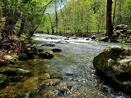 Elk Run On Cosby Creek - 2 Bedrooms, 2 Baths, Sleeps 7 Cabin by RedAwn