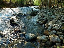 Elk Run On Cosby Creek - 2 Bedrooms, 2 Baths, Sleeps 7 Cabin by RedAwn