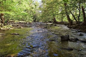 Whispering Creek - 2 Bedrooms, 1 Baths, Sleeps 6 Cabin by RedAwning