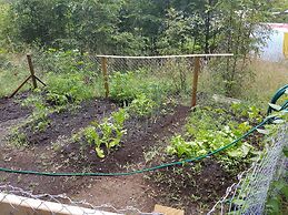 Casa de Campo Buenavista