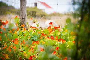 Thali Thali Game Lodge