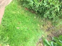 Bridge Farm Guesthouse