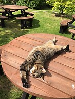 Bridge Farm Guesthouse