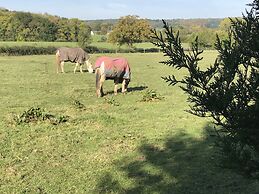 Bridge Farm Guesthouse