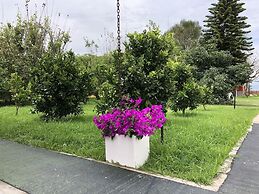 Springhills Quito Airport