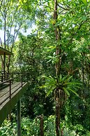 Arbol Verde Villas