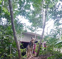 Hotel y Temazcal en Solferino