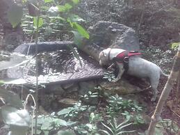 Hotel y Temazcal en Solferino