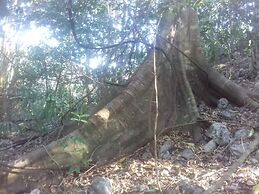 Hotel y Temazcal en Solferino