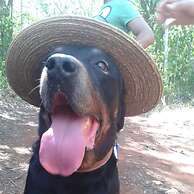 Hotel y Temazcal en Solferino