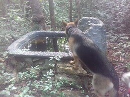 Hotel y Temazcal en Solferino